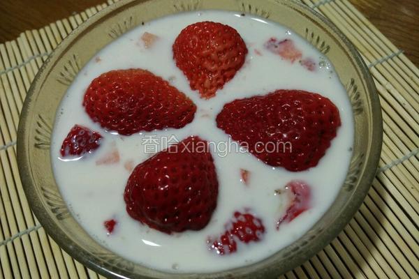 酸奶草莓大果粒