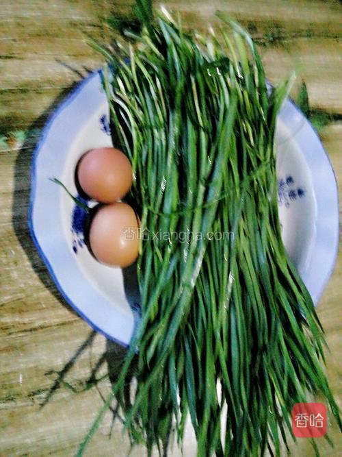 准备食材:韭菜择去烂叶,洗净,沥水!鸡蛋2个