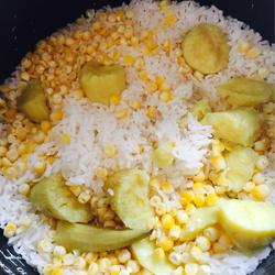 玉米地瓜饭