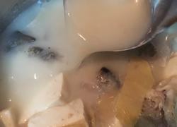 石斑鱼头豆腐汤