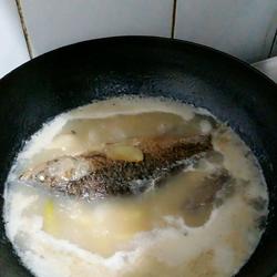 海参鲫鱼汤（下奶）