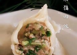 芹菜猪肉饺