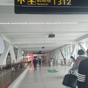 [图1]
