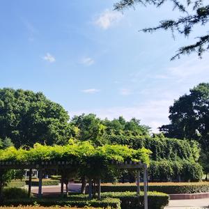 [图3]
