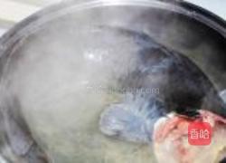 大蒜烧鲶鱼的做法图解1