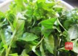 凉拌枸杞叶的做法图解1