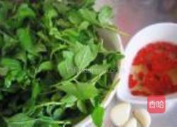 凉拌枸杞叶的做法图解2