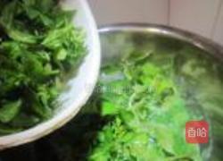 凉拌枸杞叶的做法图解4