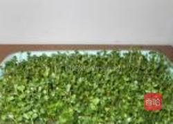 萝卜苗拌银针菇的做法图解1