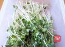 萝卜苗拌银针菇的做法图解3