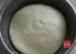 杏鲍菇培根披萨的做法图解2