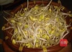 凉拌黄豆芽的做法图解7