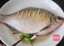 清蒸鳊鱼的做法图解2