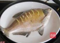 清蒸鳊鱼的做法图解5