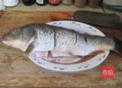 炖黄河大鲤鱼的做法图解1