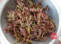 盐水香椿的做法图解1