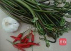 凉拌蕨菜的做法图解1