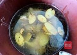 徽菜姜母鸭的做法图解6