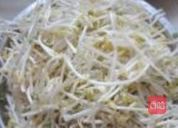 辣炒豆芽的做法图解1