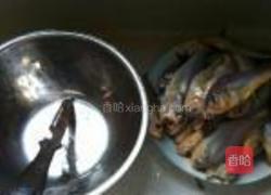 荠菜黄鱼春卷的做法图解1