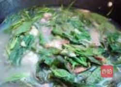 蚕豆煮枇杷叶的做法图解8