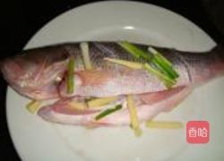 香辣鲈鱼的做法图解3