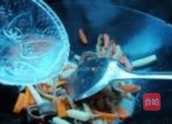 香煸猪肚的做法图解7