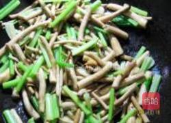 茶树菇香芹滑里脊的做法图解5