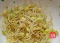 黄豆芽凉拌粉条的做法图解3