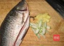 凉拌鲫鱼的做法图解3