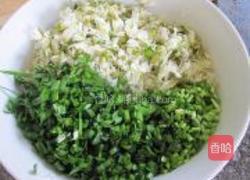 槐花包子的做法图解5