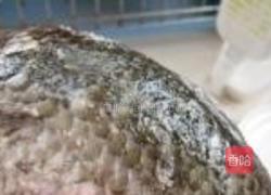 干锅鲫鱼的做法图解8