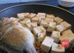 煎海鱼焖豆腐的做法图解4