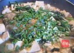 煎海鱼焖豆腐的做法图解8