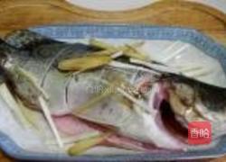 清蒸鳜鱼的做法图解4