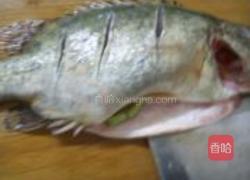 清蒸桂花鱼的做法图解1