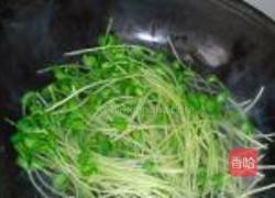 爽口豌豆苗的做法图解3