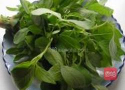 荆芥捞面的做法图解5