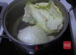 鲜肉包菜卷的做法图解1