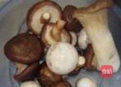 小鸡炖蘑菇的做法图解3