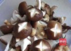 小鸡炖蘑菇的做法图解8