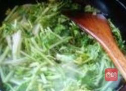 香菜炒豆腐的做法图解11