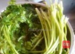 香菜炒豆腐的做法图解6