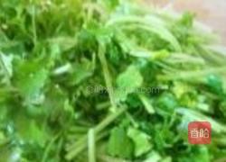 香菜炒豆腐的做法图解7