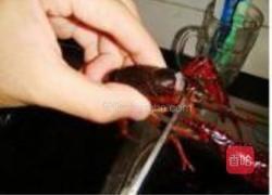 麻辣小龙虾的做法图解3