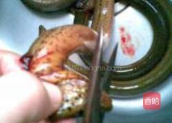 红烧黄鳝的做法图解2