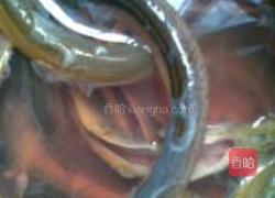 红烧黄鳝的做法图解6