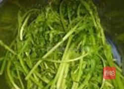 蒜蓉茼蒿的做法图解1