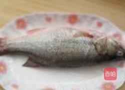 蒸鲈鱼的做法图解1