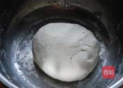 虾仁鲜肉蒸饺的做法图解12